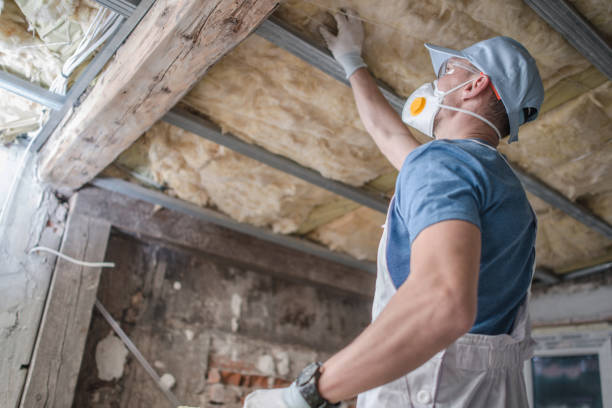 Best Insulation for Specific Applications in Ninnekah, OK
